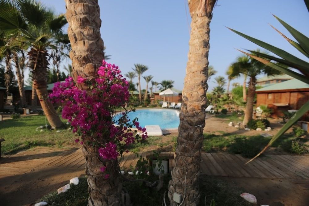 Abu Dabab Diving Lodge Марса-Алам Экстерьер фото
